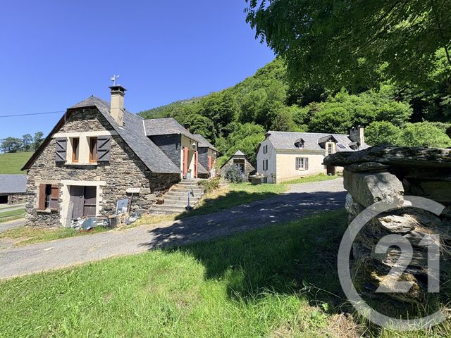 maison à vendre - 15 pièces - 414.0 m2 - ESTAING - 65 - MIDI-PYRENEES - Century 21 Val Habitat