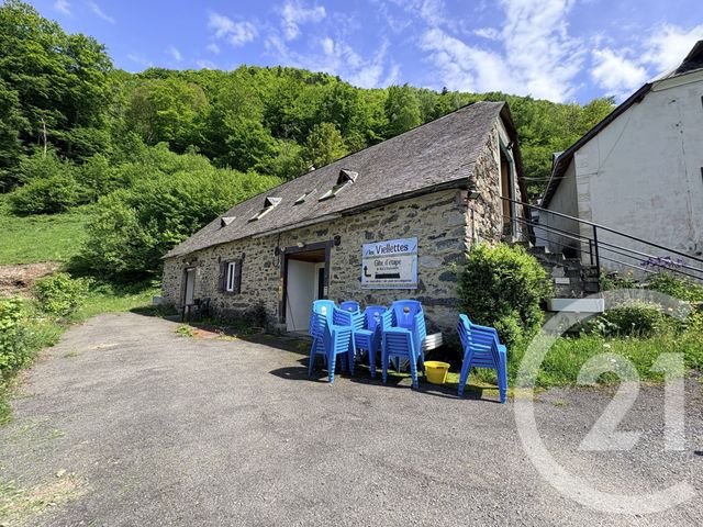maison à vendre - 15 pièces - 414.0 m2 - ESTAING - 65 - MIDI-PYRENEES - Century 21 Val Habitat