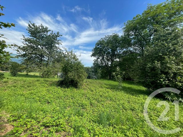 terrain à vendre - 1000.0 m2 - ARGELES GAZOST - 65 - MIDI-PYRENEES - Century 21 Val Habitat