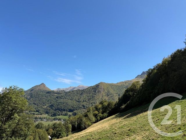 maison à vendre - 1 pièce - 99.22 m2 - ARRENS MARSOUS - 65 - MIDI-PYRENEES - Century 21 Val Habitat